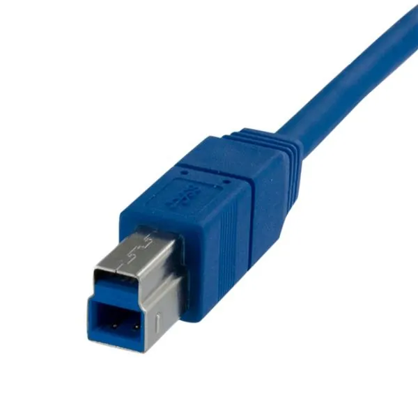Icecat 9784312