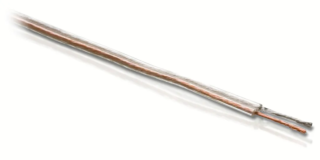 Philips SWA2105/10 cable de audio 10 m Cobre, Transparente