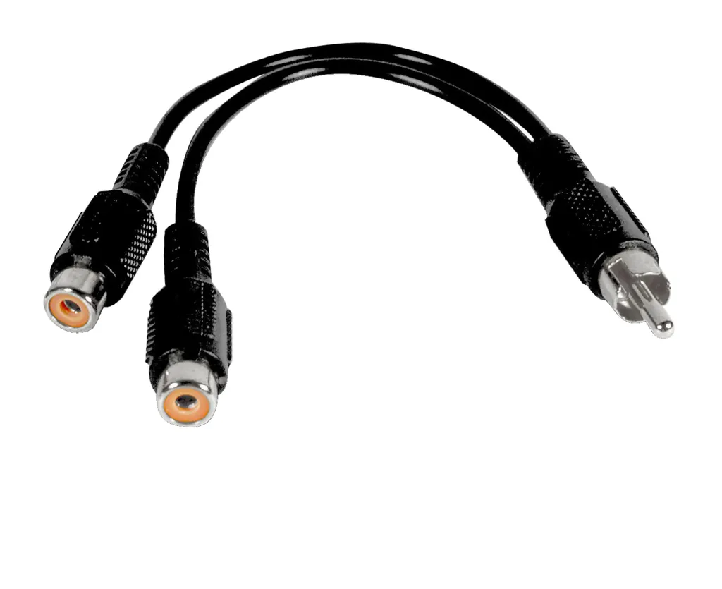Philips SWA2553/10 cable de audio RCA 2 x RCA Negro