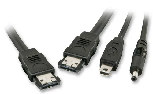Lindy External Power-over-eSATA & USB (Mini-B) & 5V DC, 0.5m cable de SATA 0,5 m Negro