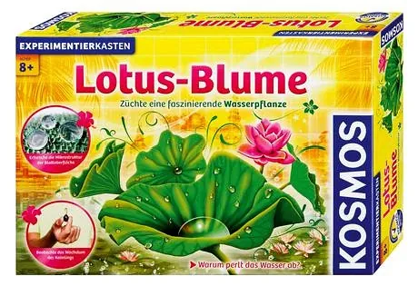 [633035] Kosmos Lotus-Blume