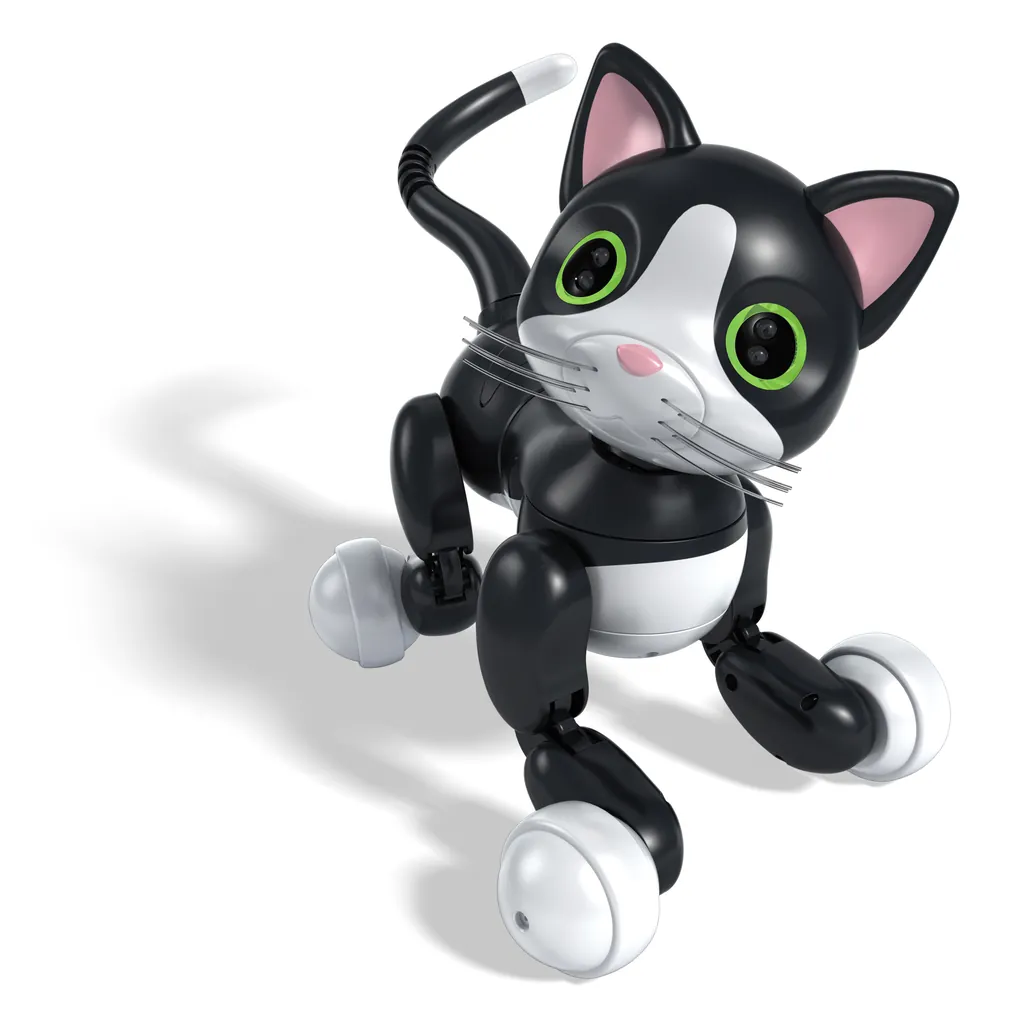 [6024413] Zoomer Kitty